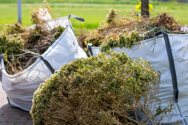 Best Affordable Junk Removal Services  in Long Lake, IL