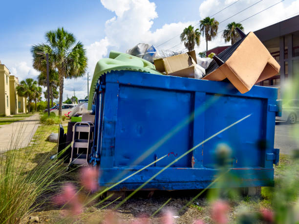 Best Dumpster Rental Services  in Long Lake, IL